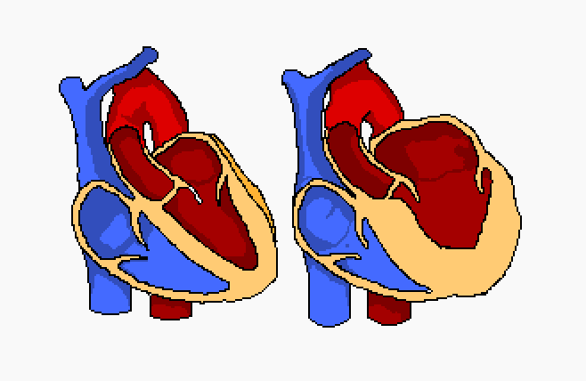 temporary_1464441131805