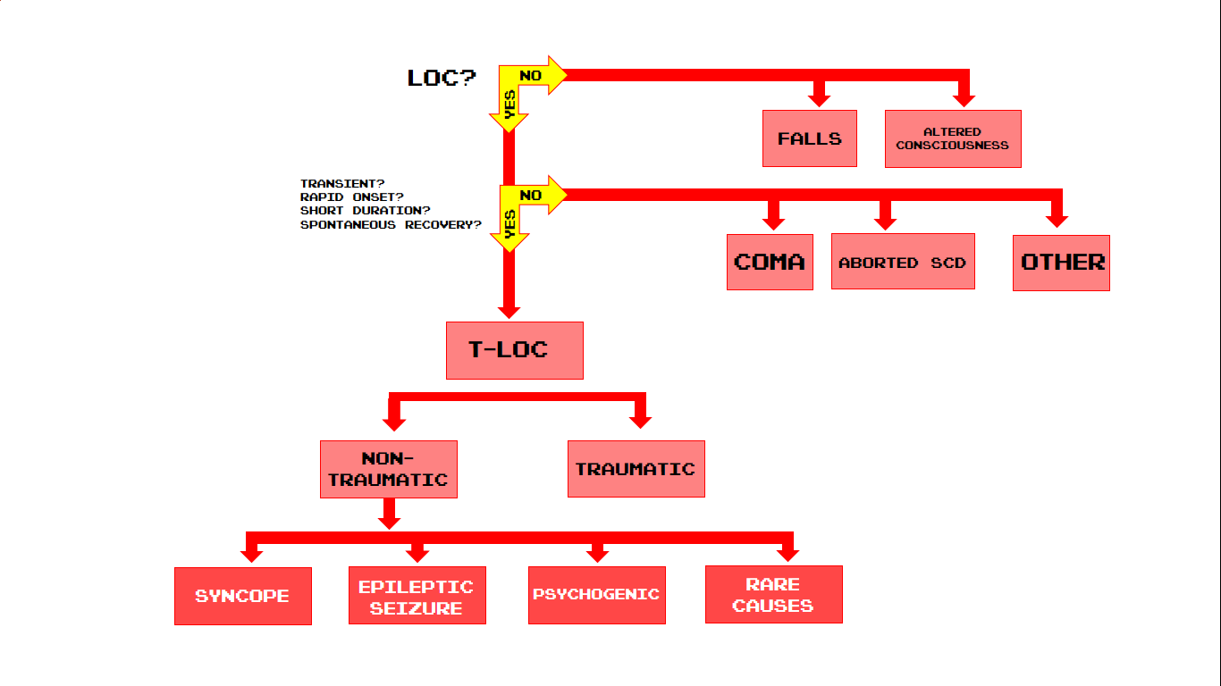 Syncope – The Student Physiologist