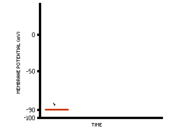 temporary_1468453556961