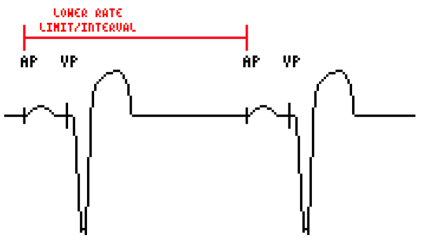 Screenshot (244).png