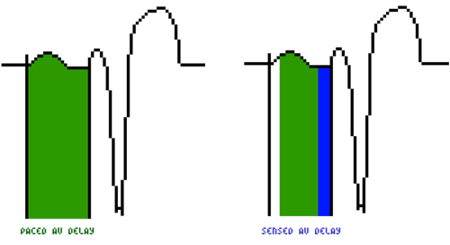 Screenshot (245).png